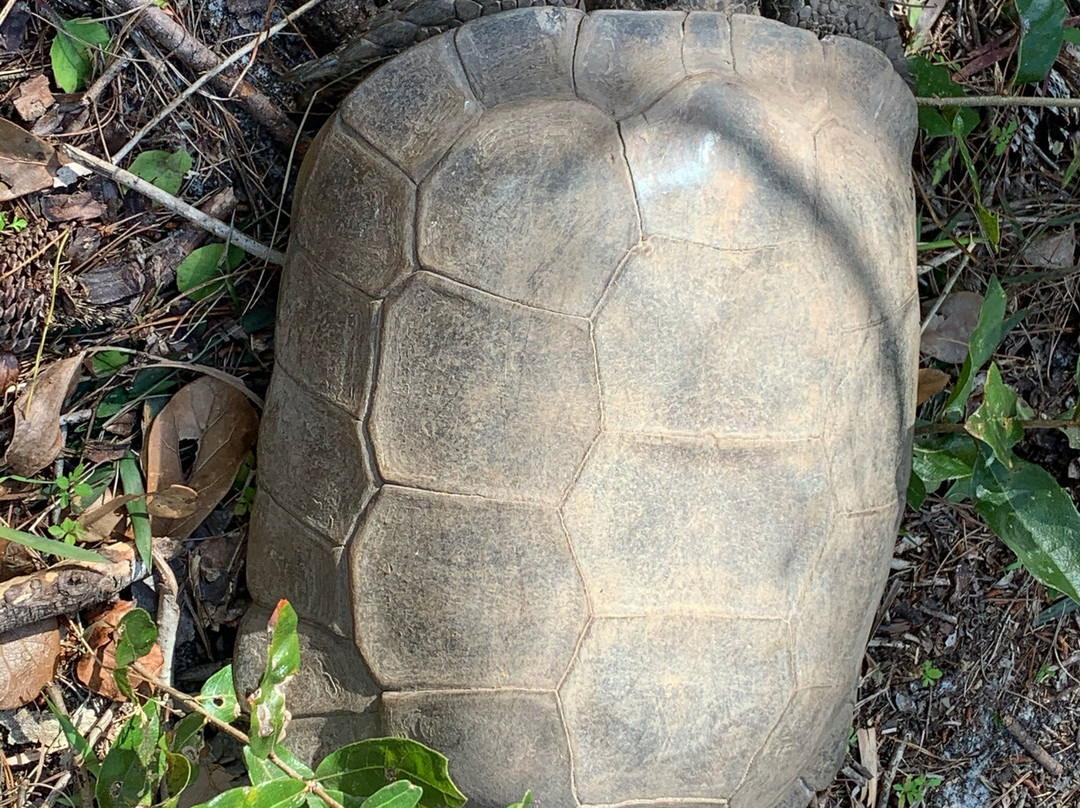 Little Manatee River State Park-Wimauma必去景点