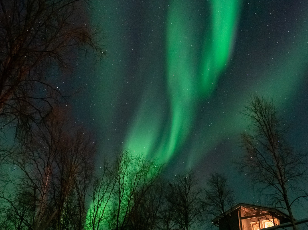 Aurora Holidays景点图片