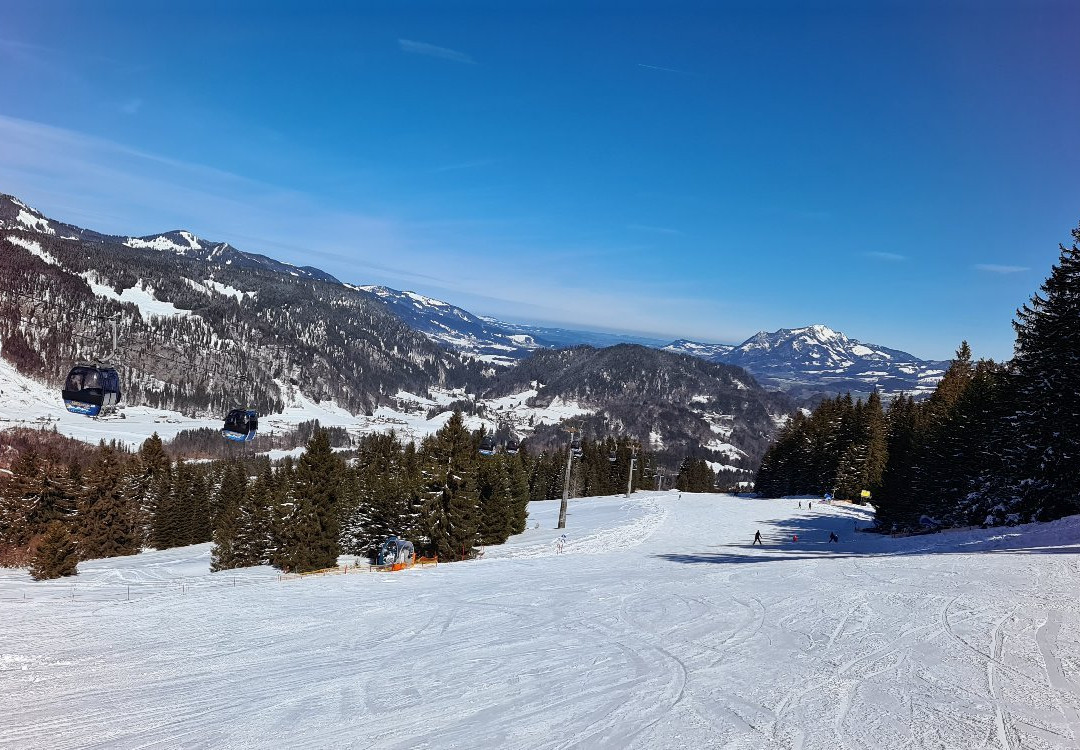 Alpin Skischule Oberstdorf景点图片