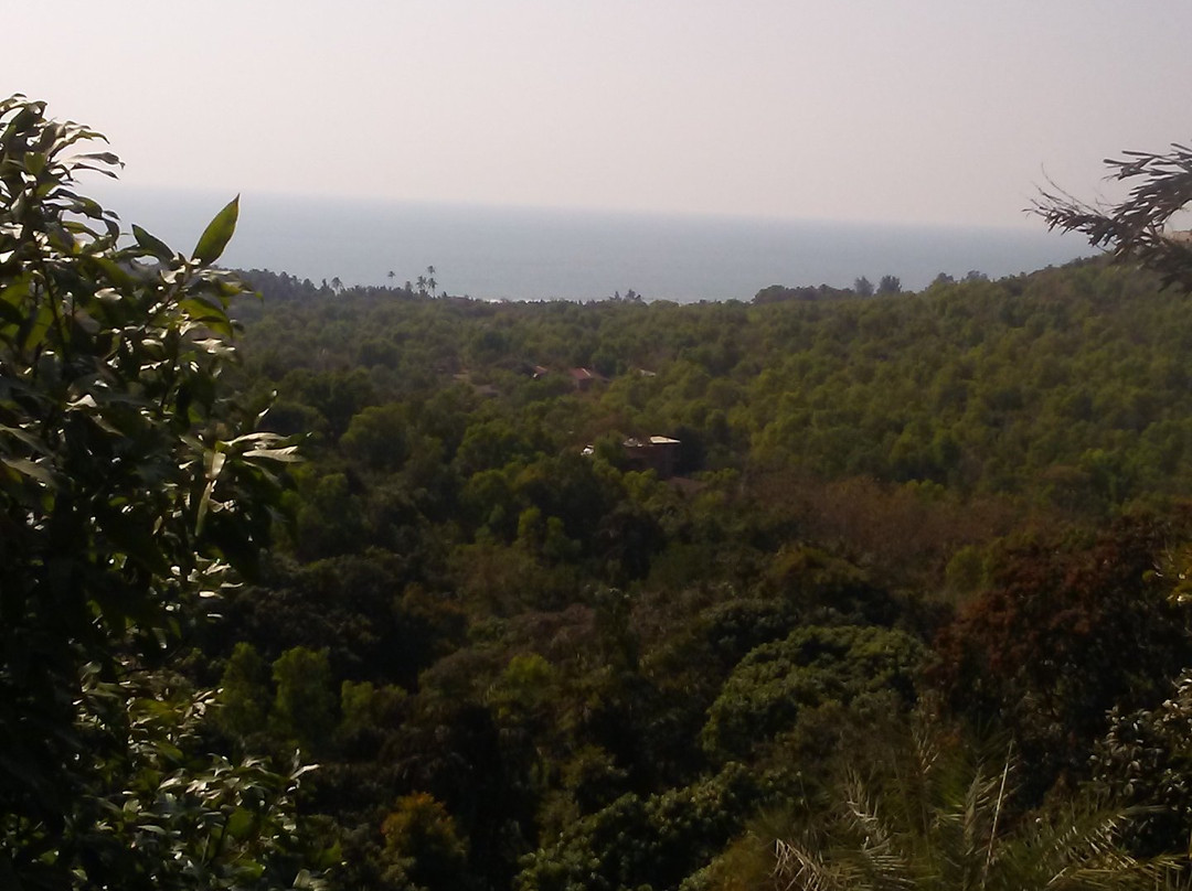 Yin Yoga Therapy Training-Morjim必去景点