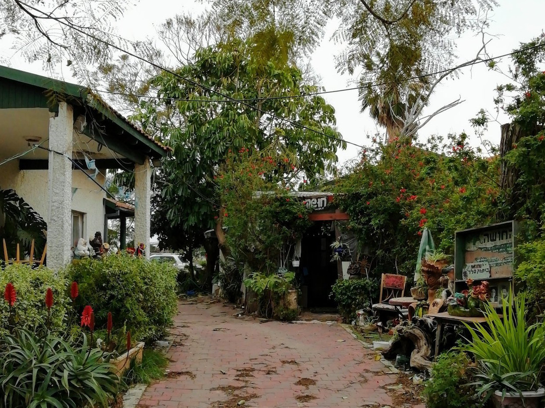 Zichron Yaakov Pedestrian Mall-Zichron Yaakov必去景点