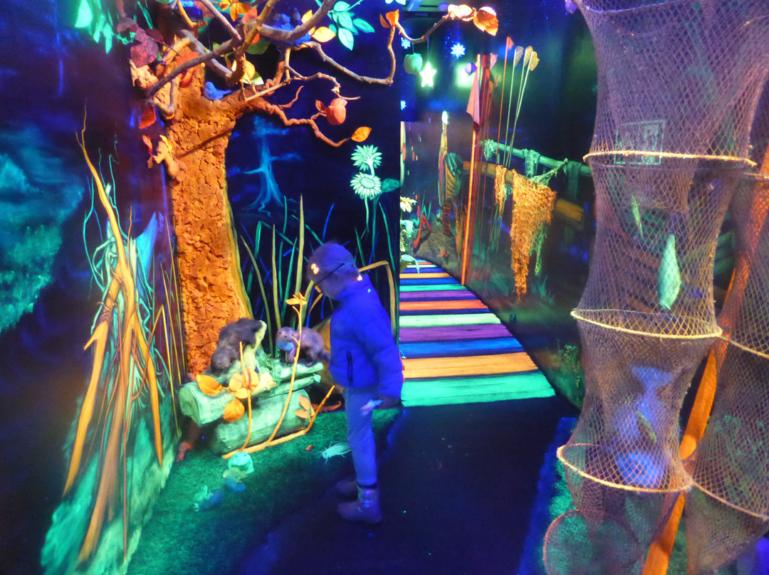 6D Museum (Muzeum 6D)-科沃布热格必去景点