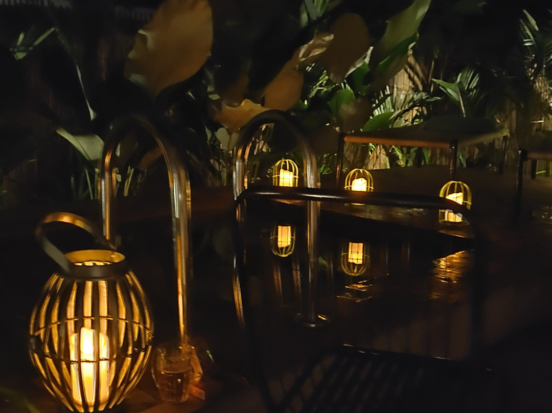 Sunsets and Palm Trees主图