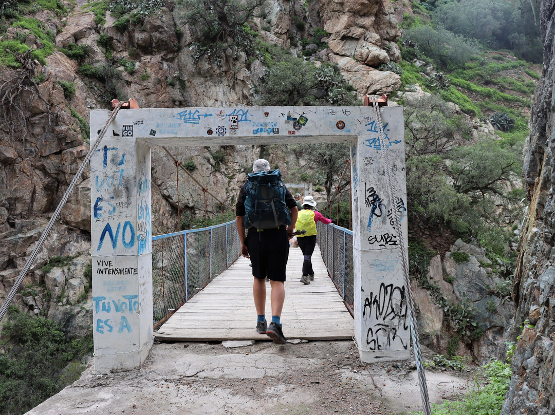 Travel Adventures Peru-阿雷基帕必去景点