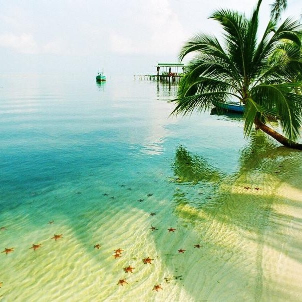 Floating Village Rach Vem-扬东必去景点