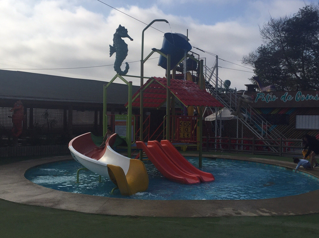 Parque Acuatico Aviva-比尼亚德尔马必去景点