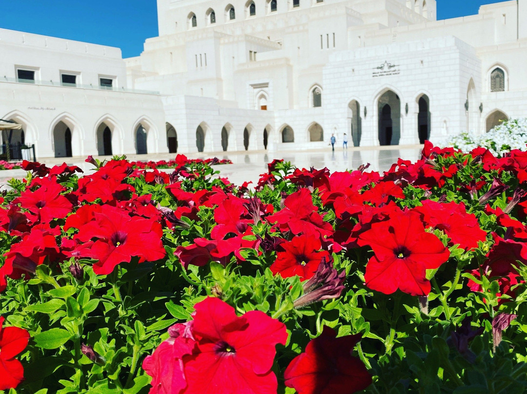 Gulf Jewels Tours - Day Tours-马斯喀特必去景点