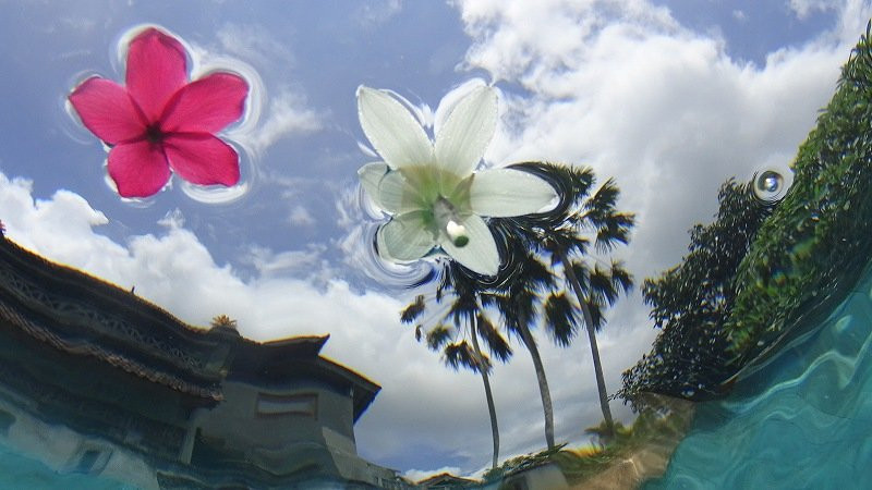 英达田园别墅主图