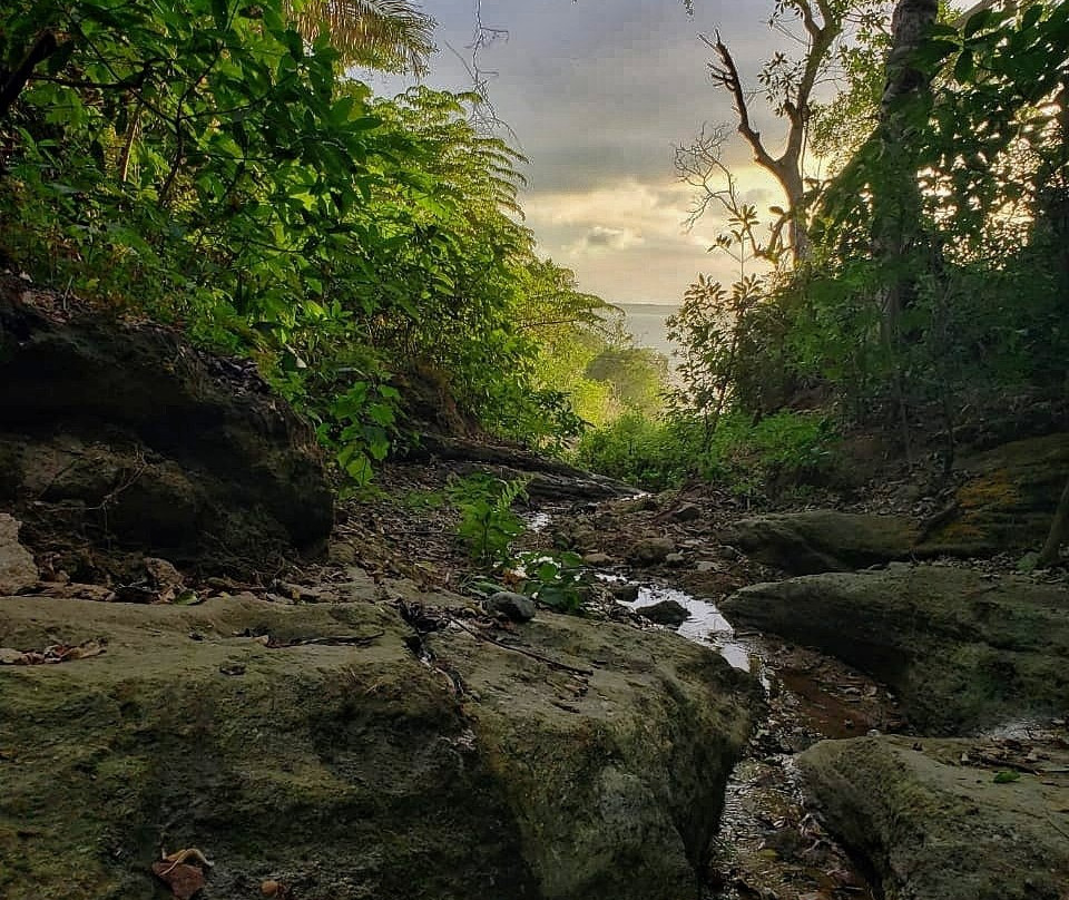 Bay of Banderas-瓦拉塔港必去景点