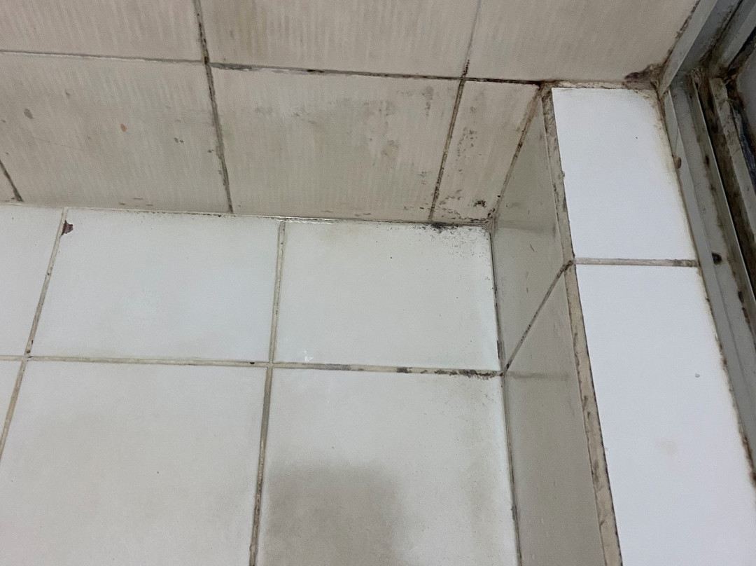 弗拉明戈滨海酒店主图