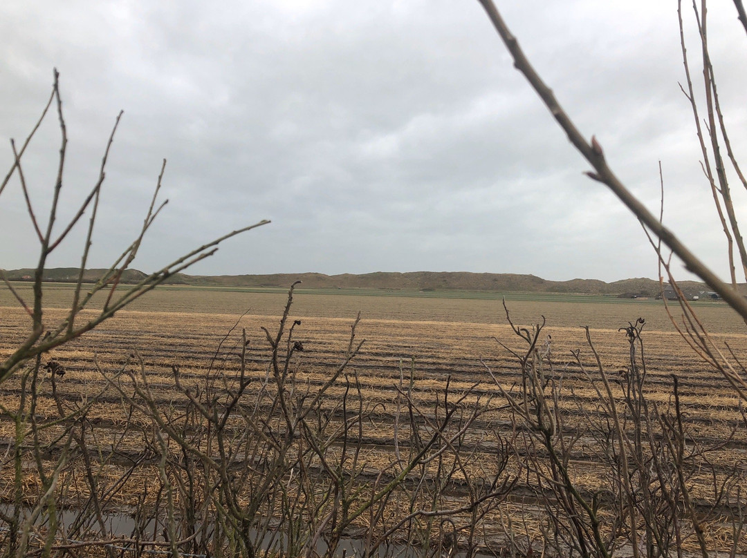 Landal Beach Ooghduyn主图