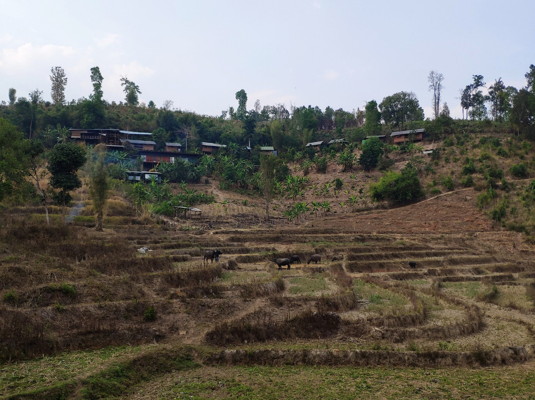 Chiang Mai Trekking with Maewin And Family景点图片