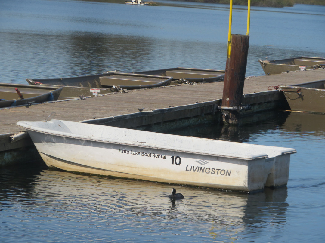 Pinto Lake County Park-沃森维尔必去景点