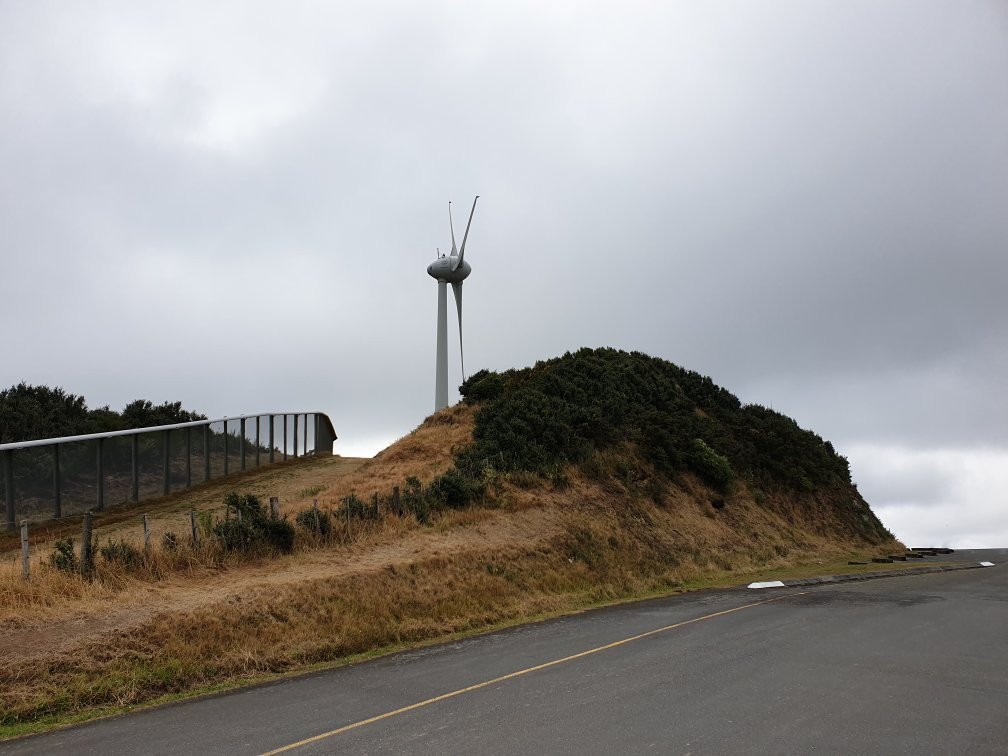 Wellington Wind Turbine景点图片