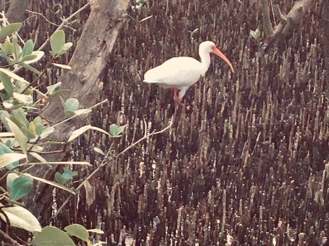 Rotary Park Environmental Center-开普科勒尔必去景点