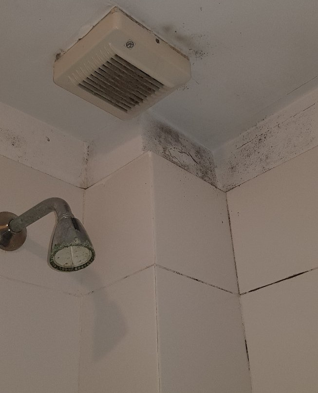 Hotel Jacaranda主图