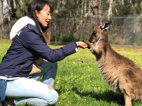 Adelaide Driving Tour