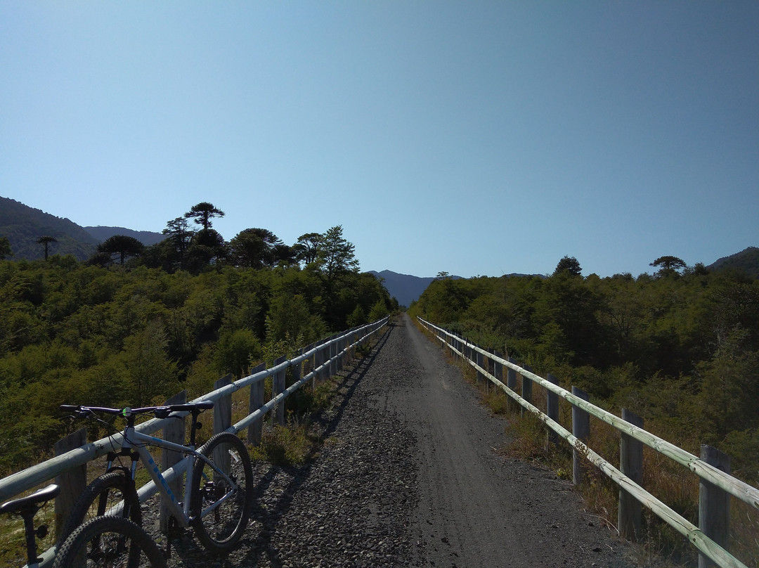 Eco Tour Terra-Curacautin必去景点