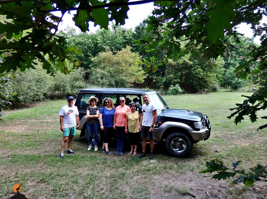 Aventuras Forte(s) - Turismo de Natureza-科英布拉区必去景点