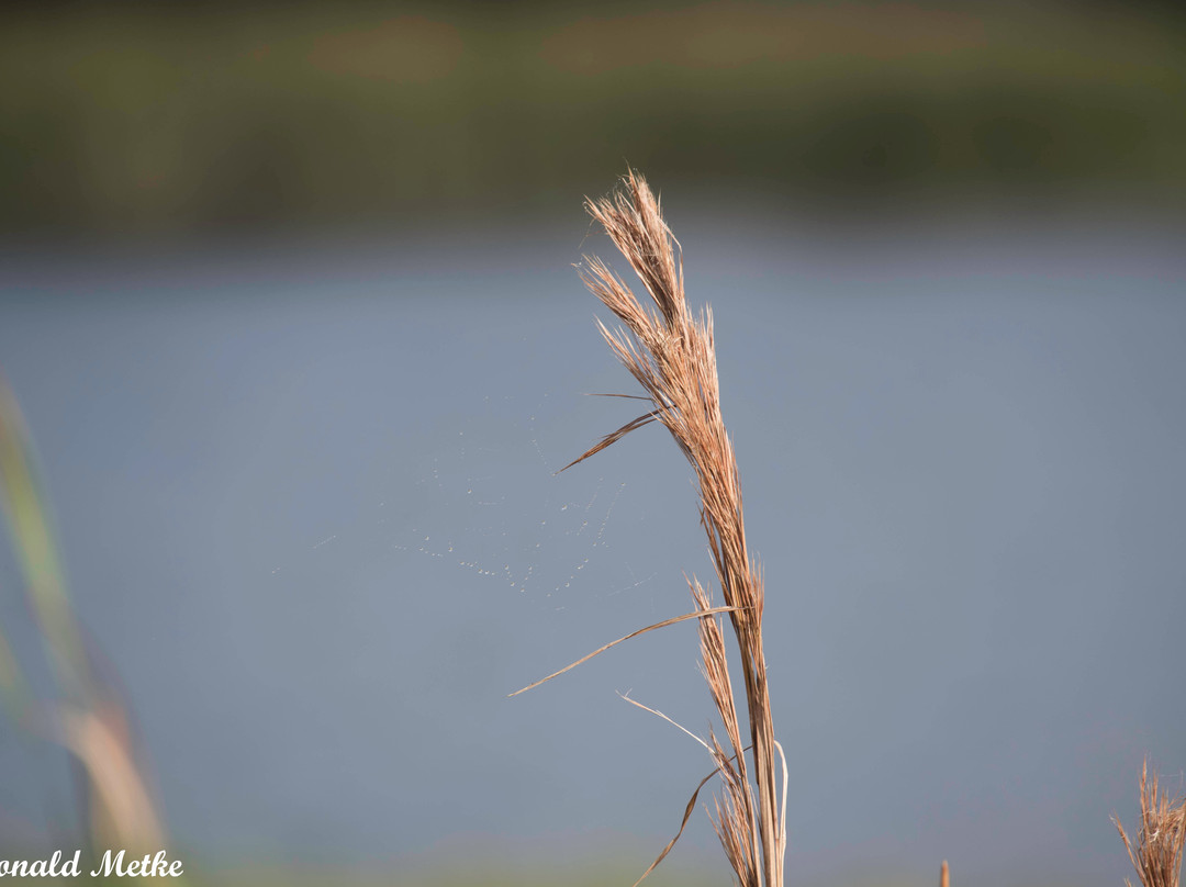 Colt Creek State Park-莱克兰必去景点