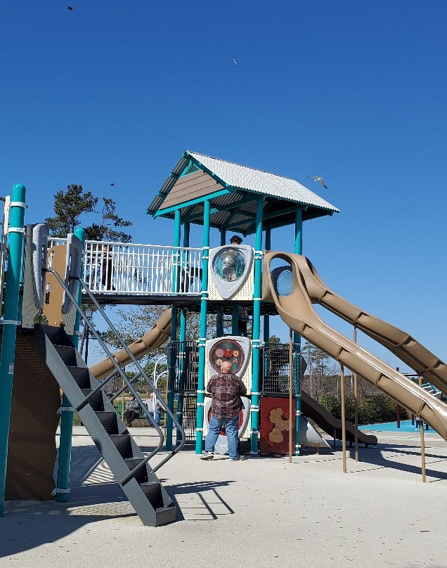 Savannah's Playground景点图片