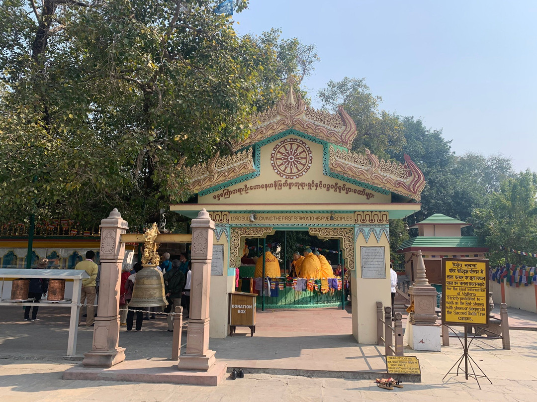 Mulagandha Kuti Vihar景点图片