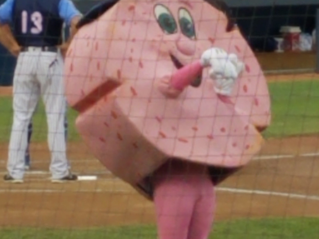 Trenton Thunder Baseball景点图片