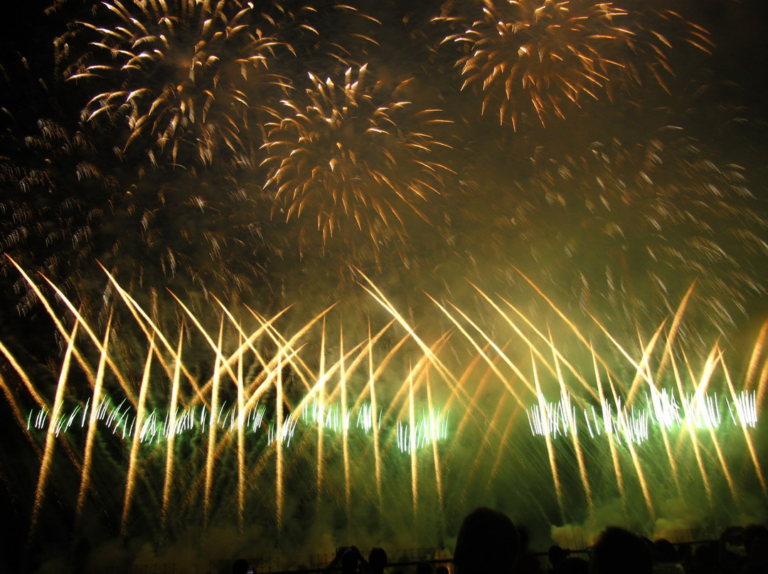 Ashikaga Fireworks-足利市必去景点
