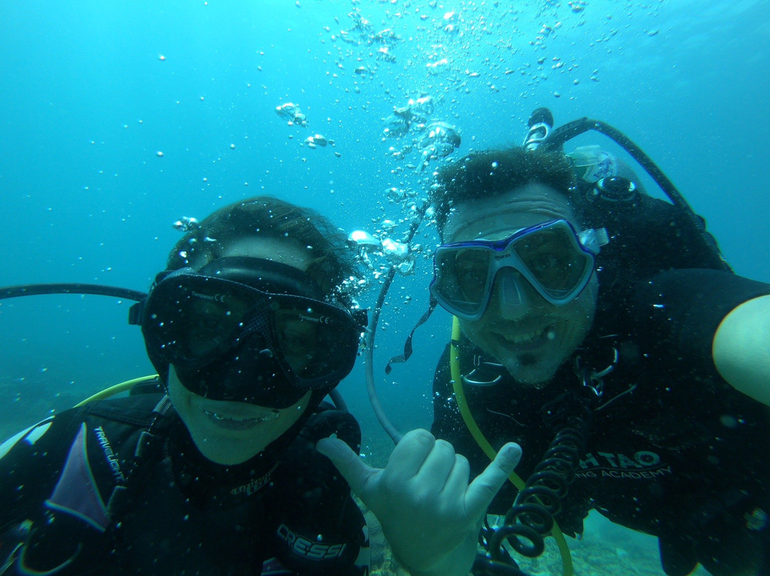 Koh Tao Diving Academy-涛岛必去景点