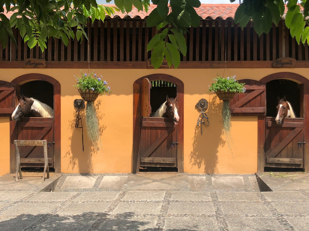 Hacienda La Danesa-瓜亚基尔必去景点