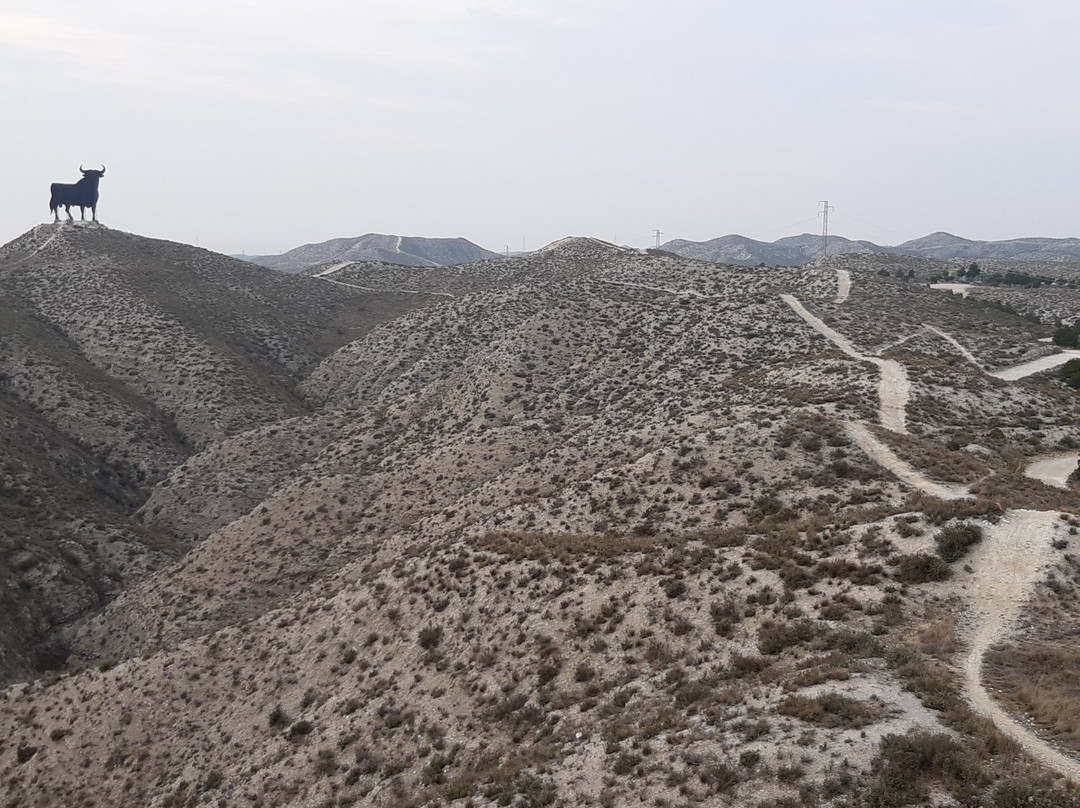 Alfajarin旅游攻略图片