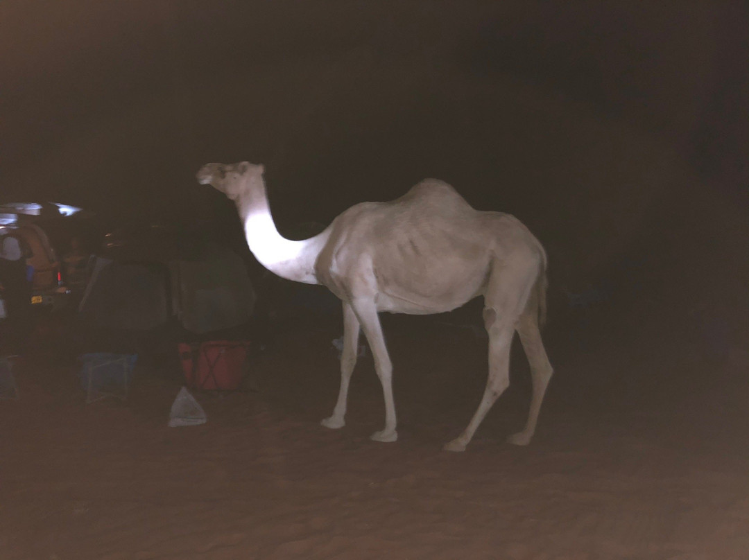 Al Sharqiya Sands主图