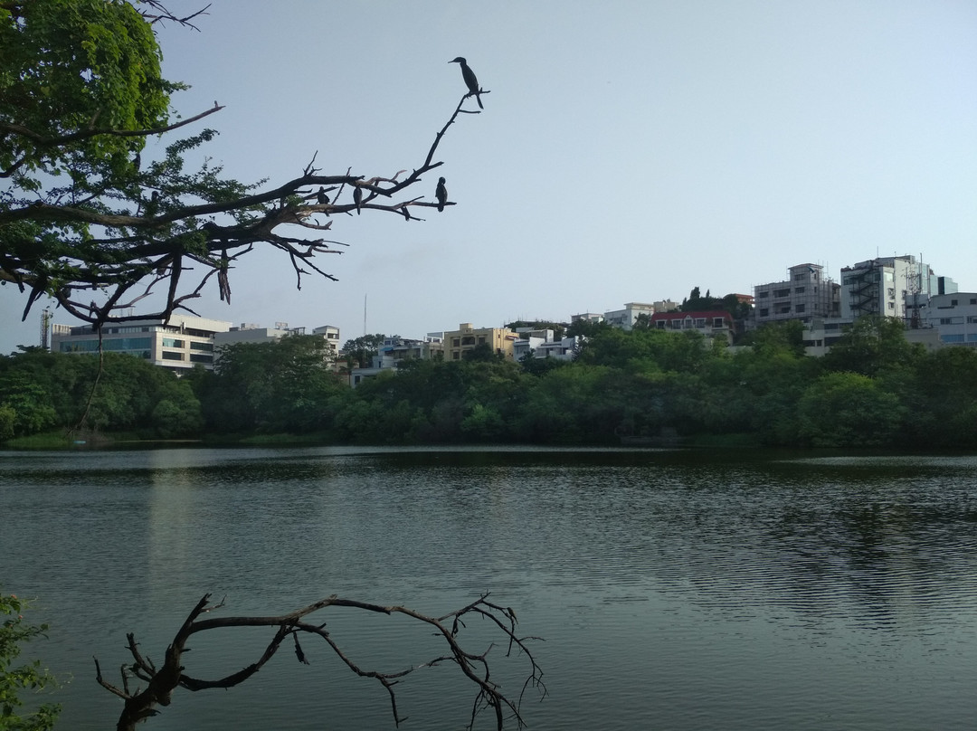 Lotus Pond景点图片