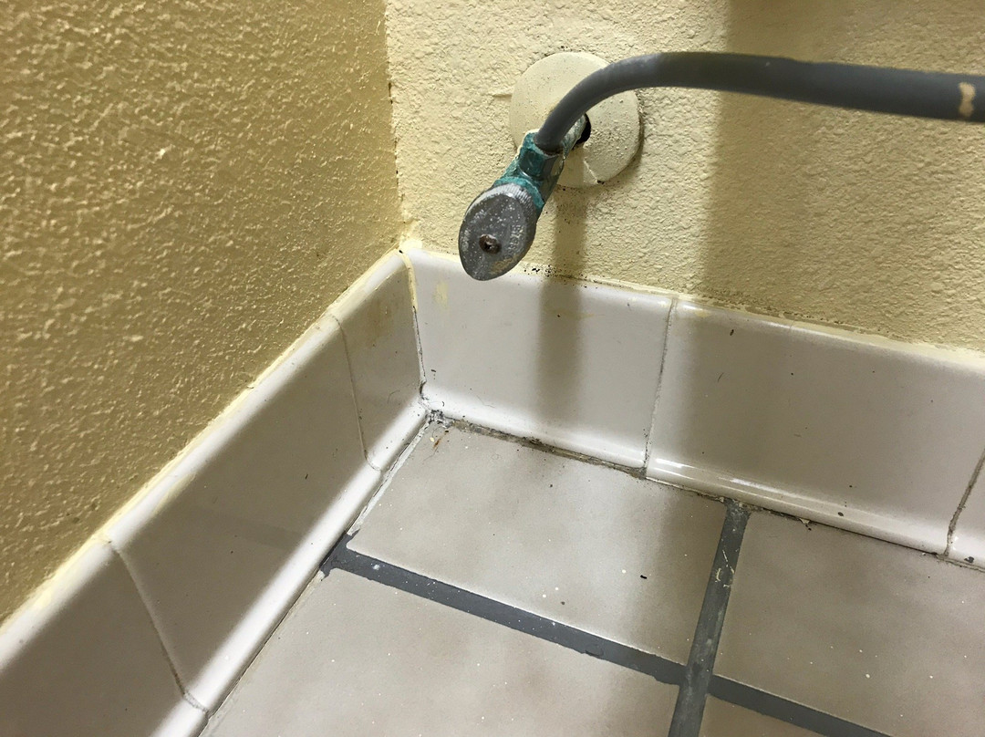 Clarion Pointe Vidalia - Lyons West主图