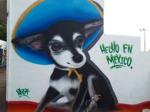 Akumal Art Walk-艾库玛尔必去景点