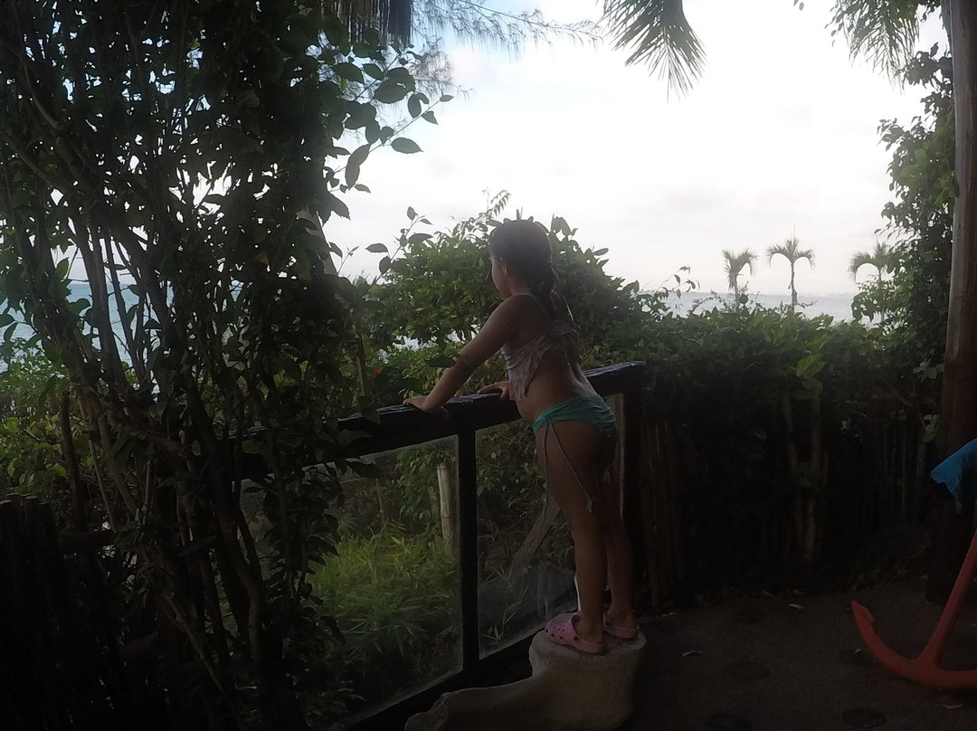 Hosteria  Ecologica El Faro主图