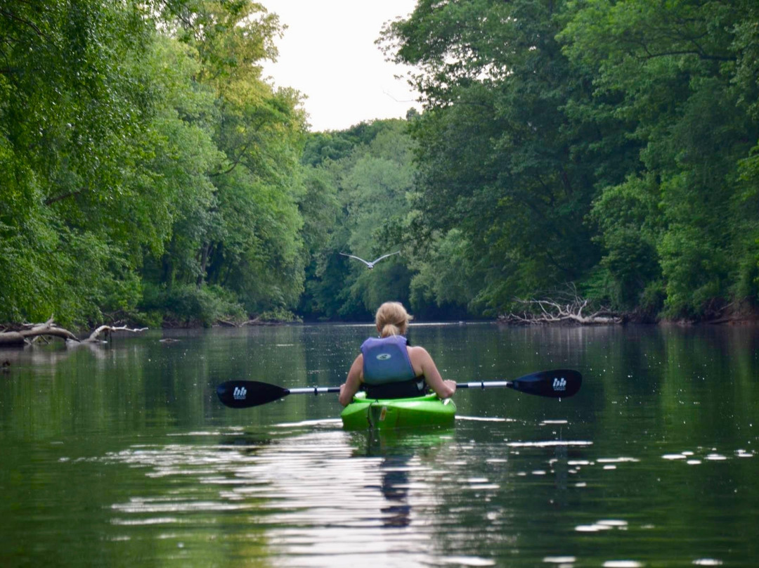 Cocoa Kayak Rentals of Hershey景点图片