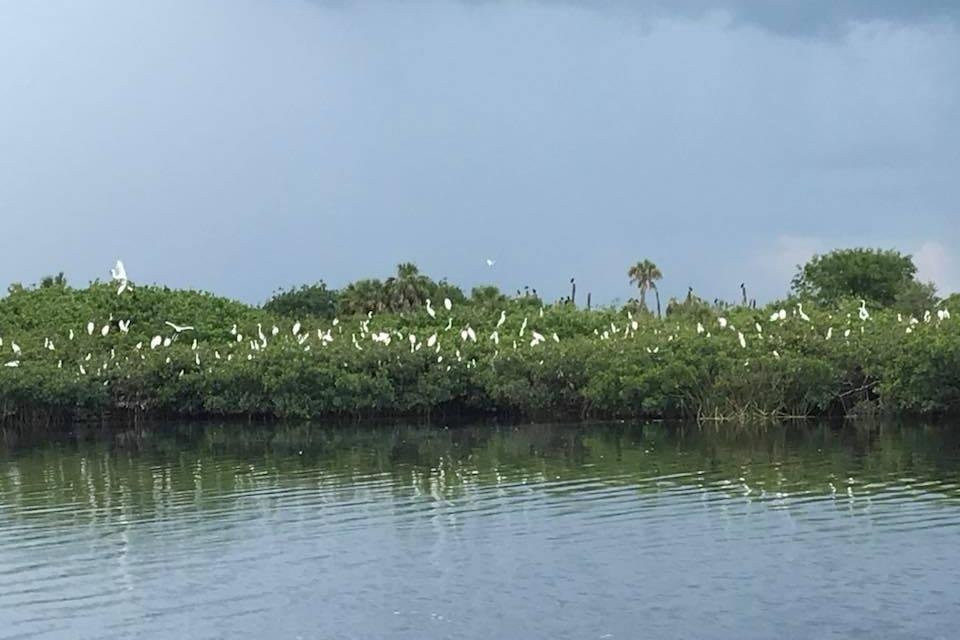 Green Boat Tour Company-阿卡迪亚必去景点