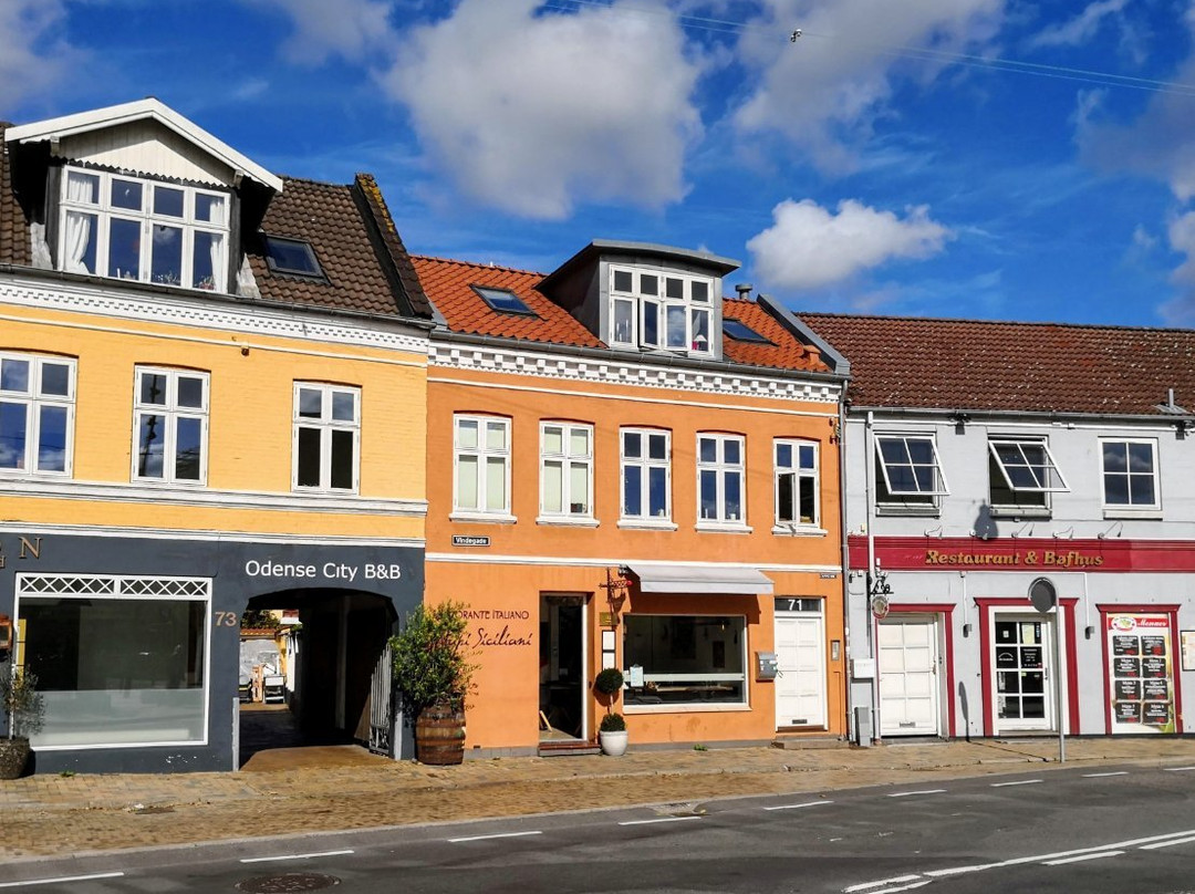 Odense City B&B主图