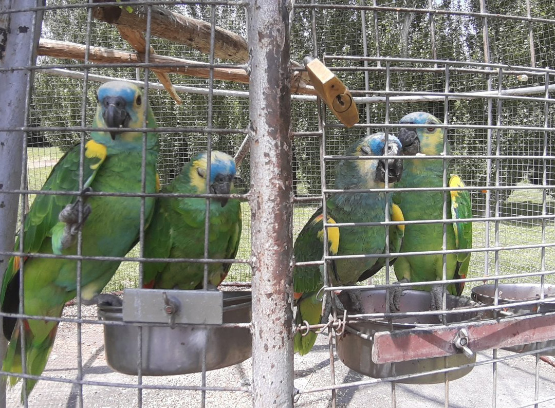 Bubalco-Allen必去景点