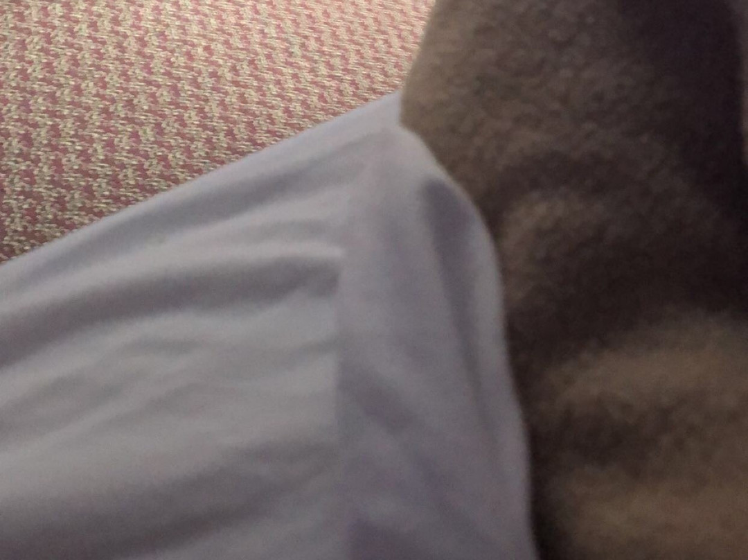 WoodSpring Suites Johnson City主图