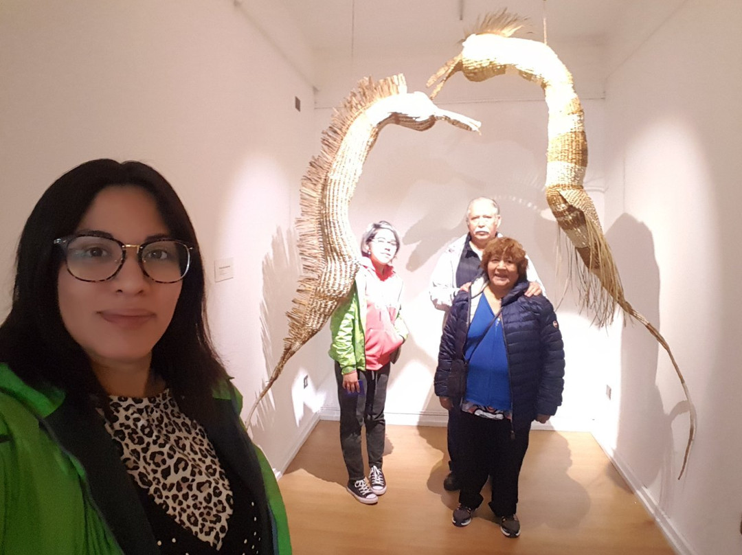 Museo Regional de Ancud-Ancud必去景点