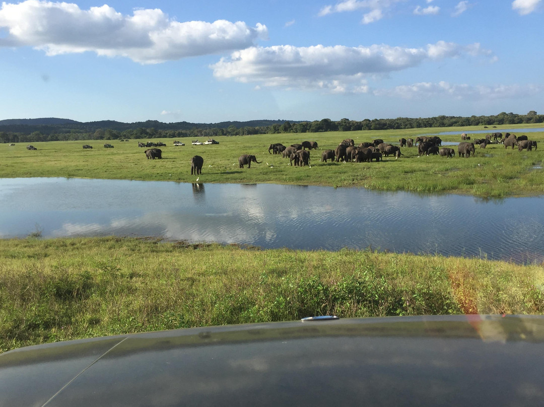 Chauffeur guide francophone au sri lanka (nalin) agence de voyage au sri lanka-科伦坡必去景点