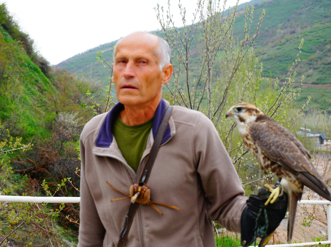 Falcon Farm Sunkar-阿拉木图必去景点