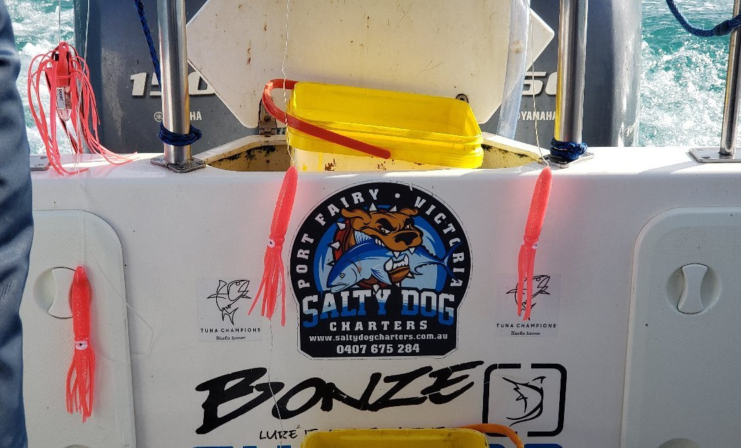 Salty Dog Charters-仙女港必去景点