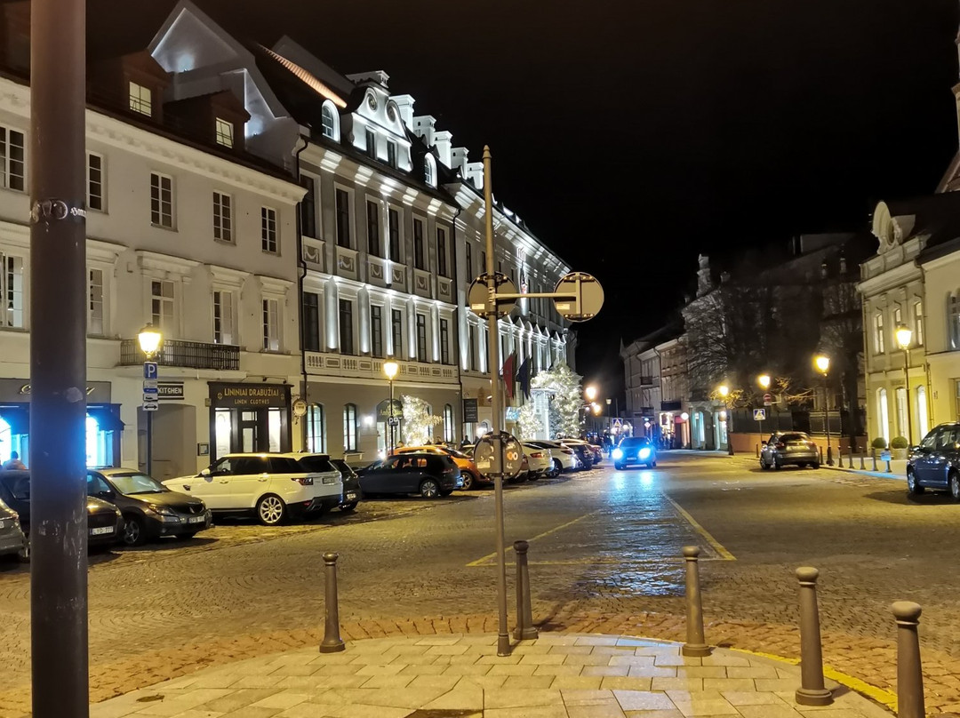 Vilnius City Tour-维尔纽斯必去景点