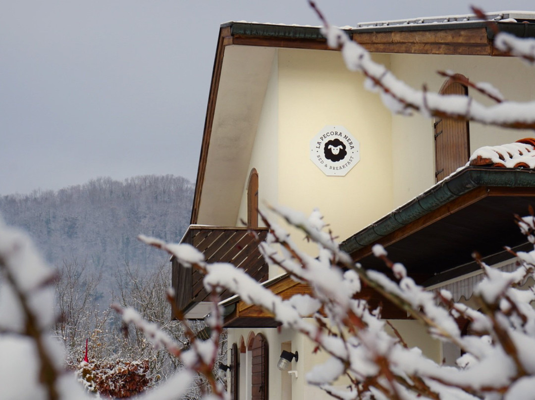 Pra de Luni酒店住宿-La Pecora Nera Bed & Breakfast