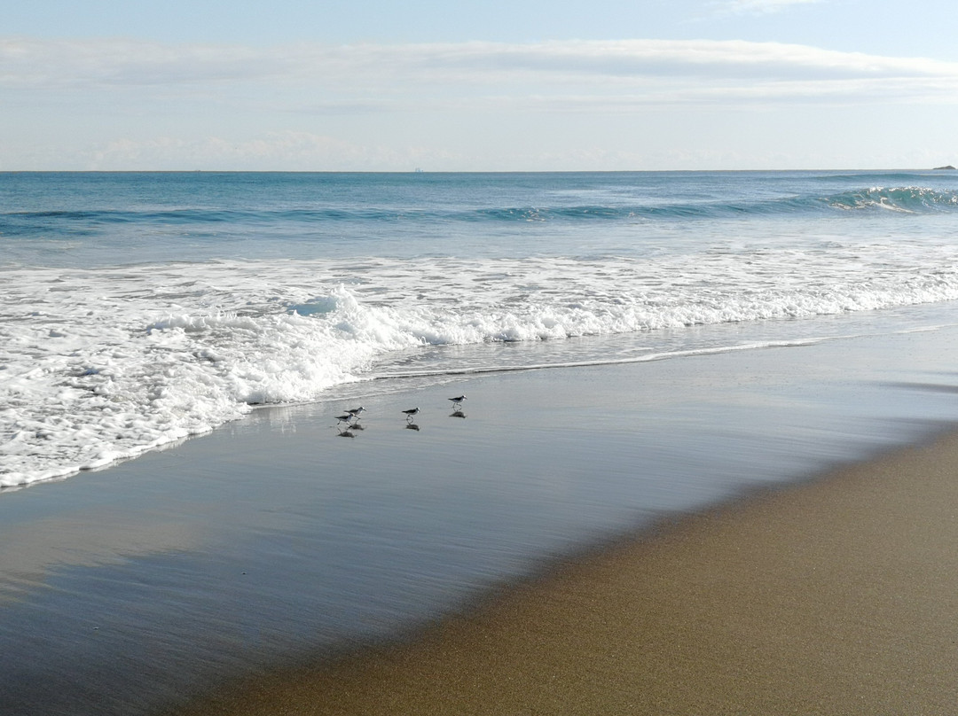 Shirahama Beach景点图片