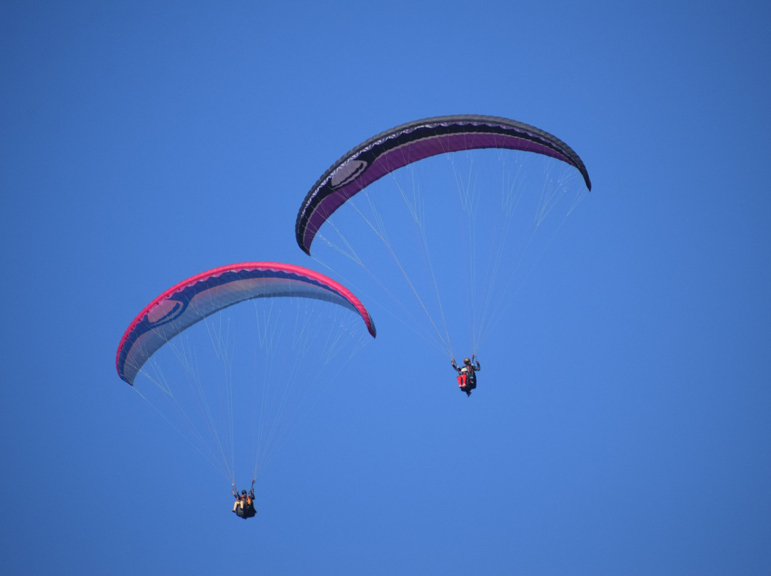 Sky Bird Adventures景点图片