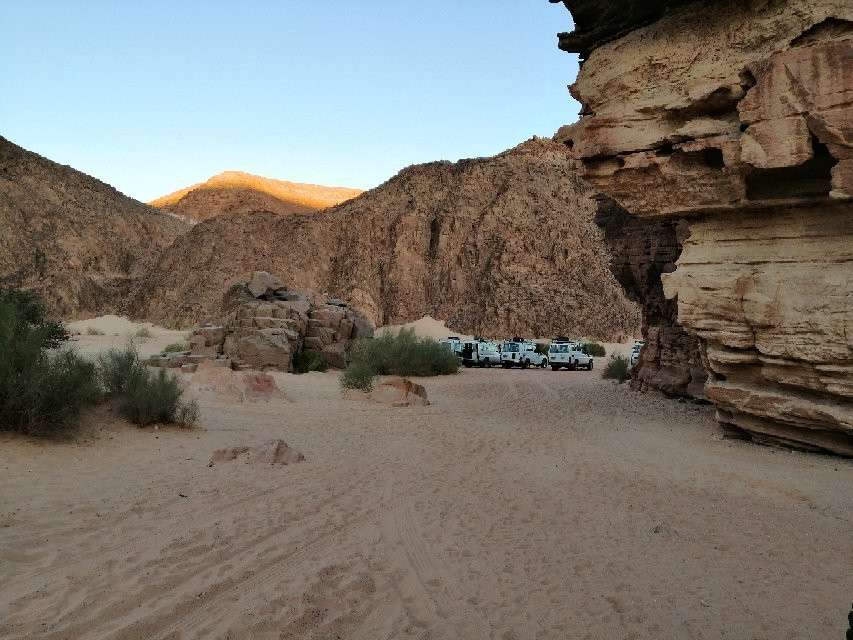 Sinai Excursions - Day Tours景点图片